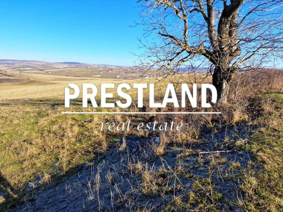 Teren extravilan-Dealul Sibiului - Poză 1