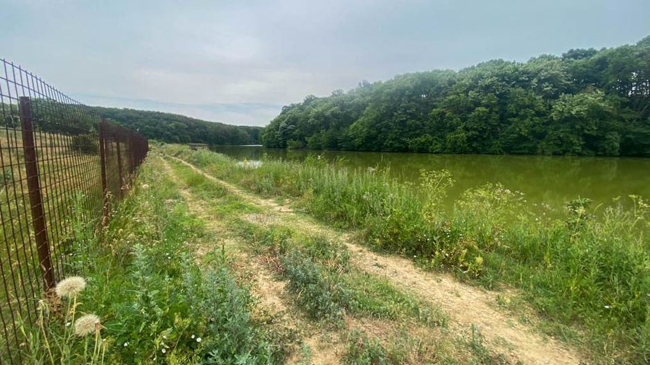 Teren Intravilan de vanzare 3778 mp Branesti Strada Violetelor - Poză 9
