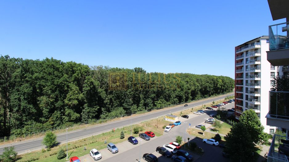 Denya Forest, 2 camere, centrala proprie, loc de parcare - Poză 18