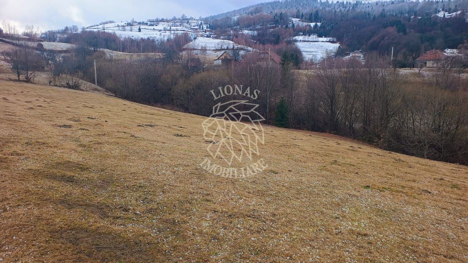 COMISION 0 TEREN TURISTIC EXTRAVILAN APROAPE DE PADURE VISAGU VLADEASA CLUJ - Poză 10