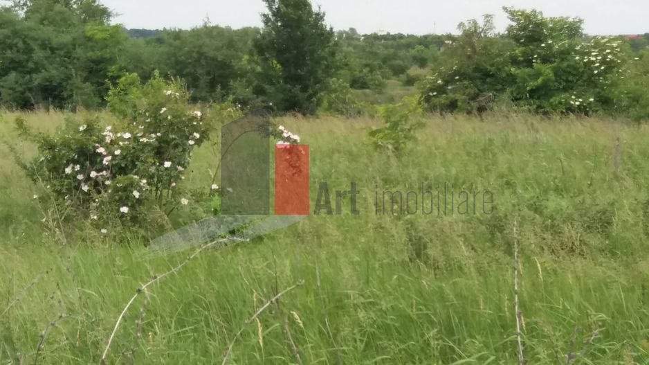 Teren Buftea cu iesire la lac - Poză 21