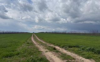 Teren de vanzare in Săcele ideal pentru silozuri, fermă 6 ha - Poză 21