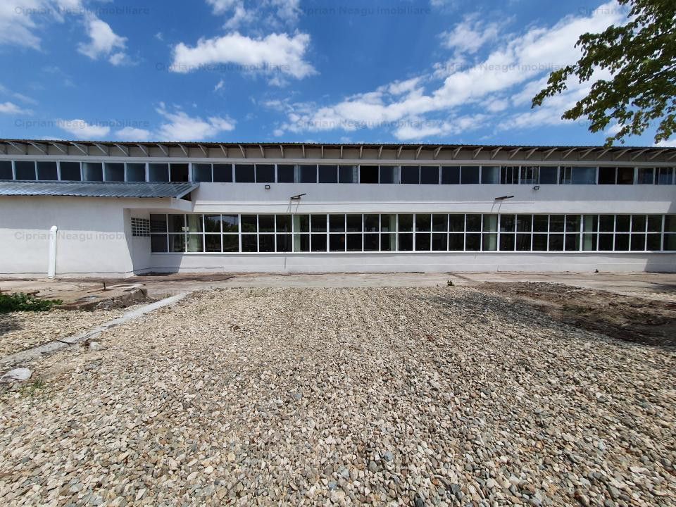 Hala Depozitare de Inchiriat Pitesti - Poză 2