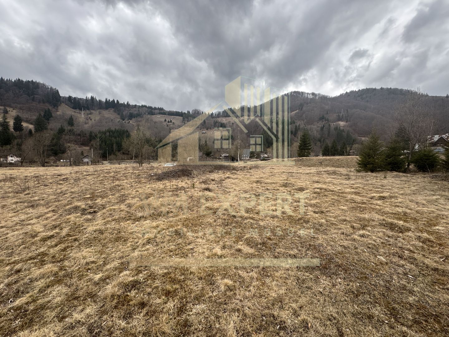 TEREN INTRAVILAN 500 MP SĂTIC- RUCĂR - Poză 13