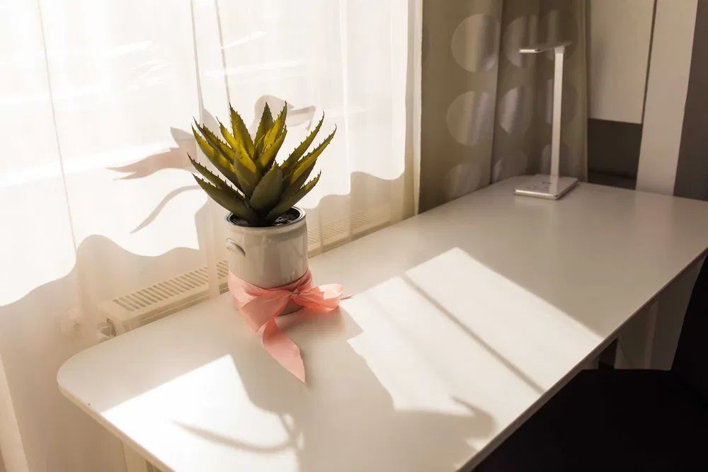 Apartament 2 camere lux Baneasa Northlane - Poză 5