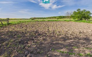 Casă retrasă Pișchia – 4 camere, teren 920 mp - Poză 63