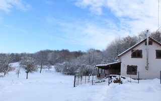 Proprietate rară | 4458 mp teren intravilan | Casă solidă, natură, liniște totală. | Bratca, Bihor. - Poză 47
