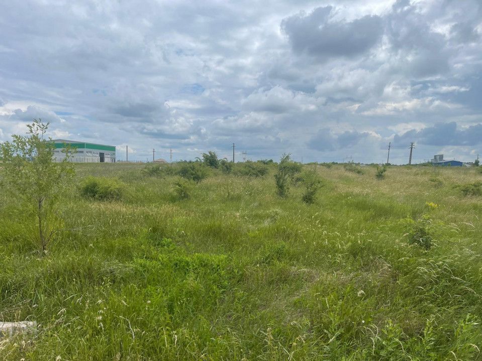 AZURA Imobiliare Pitesti - Teren de Vanzare Albota - Poză 3