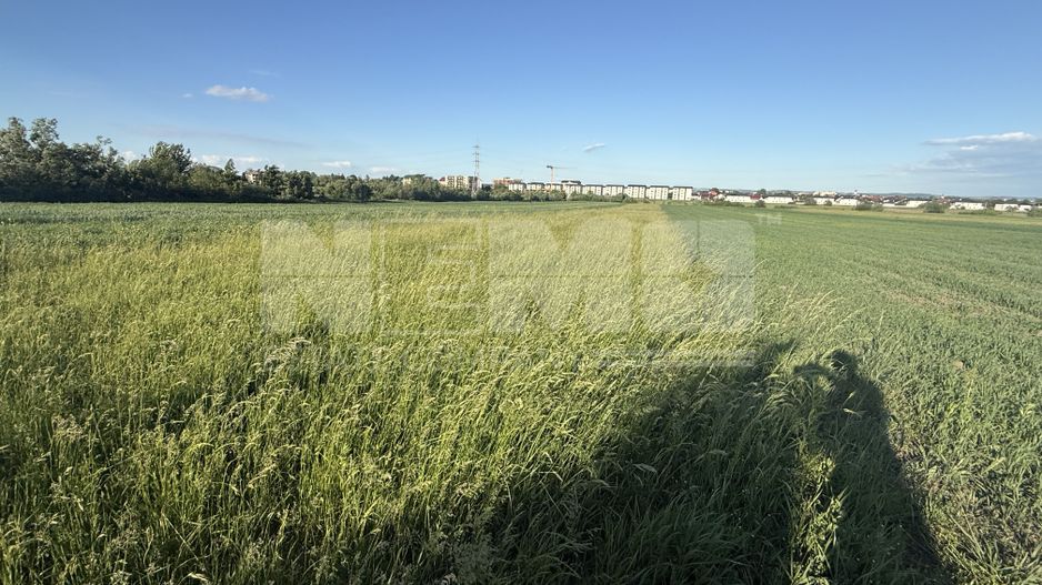 Teren extravilan de vânzare în zona Osoi – 2.650 mp | Front 10 m - Poză 1