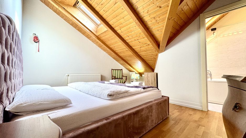 Apartament tip loft, 2 camere, Piața Unirii - Poză 27