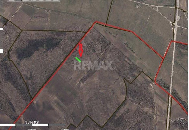 Oportunitate de Investiție – Teren Agricol 35 Ari în comuna Răzeni, r. Ialoveni - Poză 7