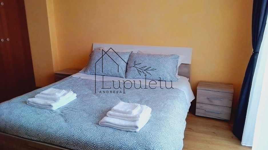 Apartament de Inchiriat | 36 MPU | Turnișor | Bloc cu lift - Poză 1