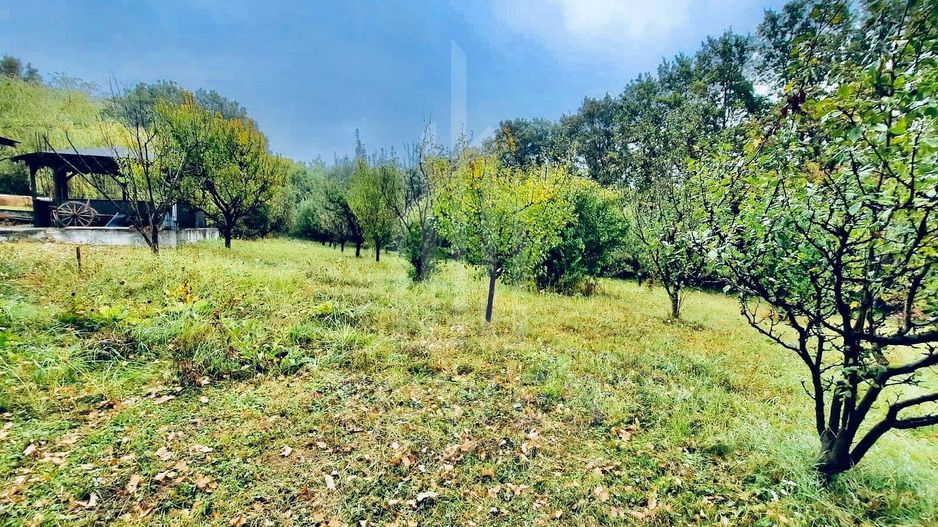 Casă de vacanță | Șura Mare - Poză 11