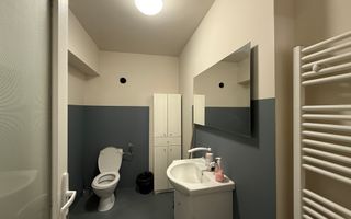 Spatiu de 450 m2 Piata Cipariu, ideal depozit curierat, arhivare, etc - Poză 12