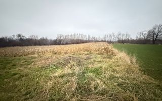 VAND CASA IN MARGINEA | 114.000 EURO NEGOCIABIL | - Poză 25