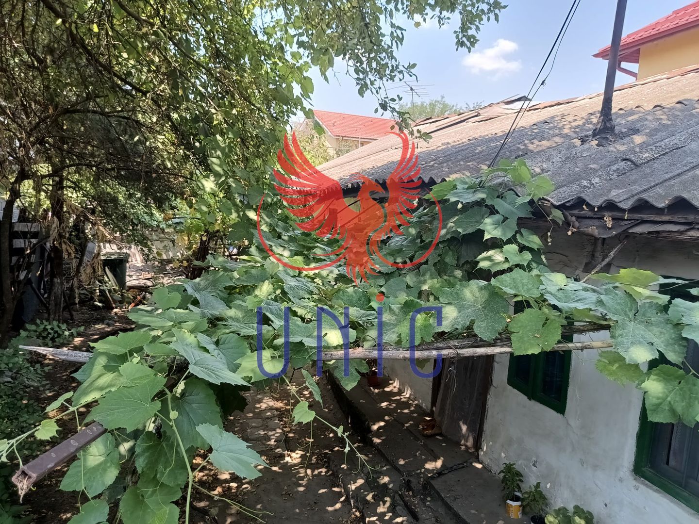 Teren Drumul Muntenilor, 980 mp, 2 deschideri - Poză 6