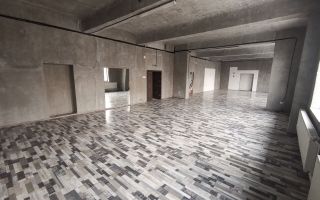 Spatiu comercial 500 mp, zona Calea Nationala/Kaufland - Poză 6