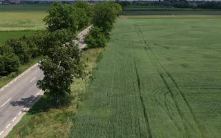Teren intravilan 50000 mp, cu PUZ, Aprobat - zona Halchiu/Codlea - Poză 15