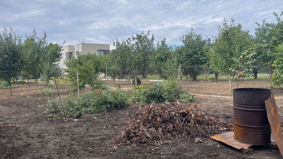 Teren de vanzare | Mogosoaia | 1252 mp - Poză 3