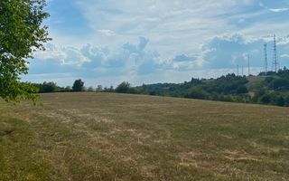 Teren Intravilan | 17.500 mp | Șinteu | Bihor - Poză 1