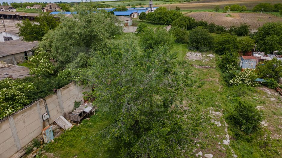 Vânzare,teren pentru construcție,1,18 ha, satul Maximovca, Anenii Noi - Poză 25