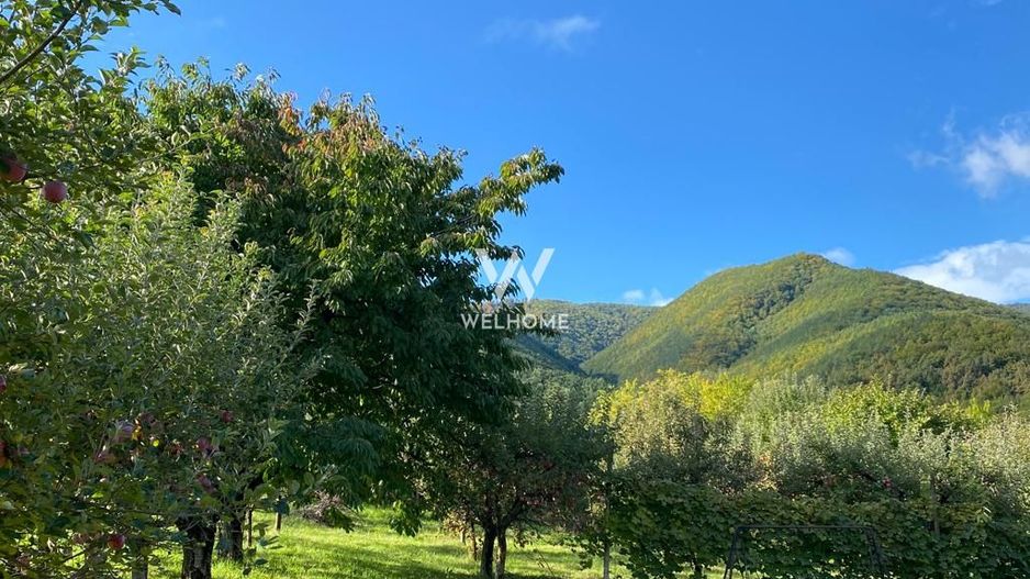 Teren intravilan 2100 mp - Valea Avligului - Sibiu - Poză 5