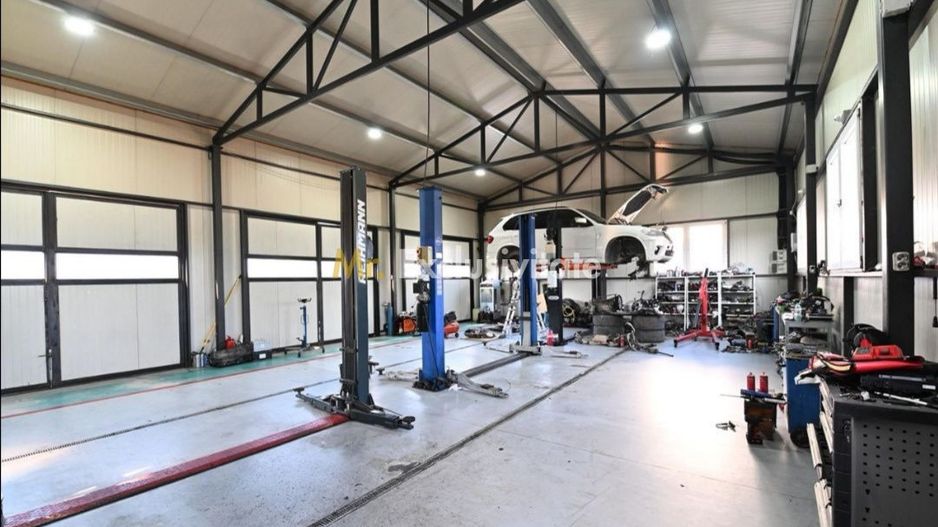 De vanzare proprietate Podari – 2 hale industriale + casa și spatiu recreativ - Poză 11