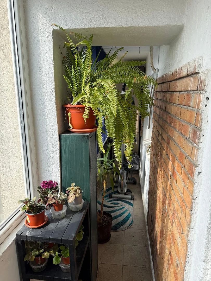 Apartament 3 camere Crângași BCR - Poză 9