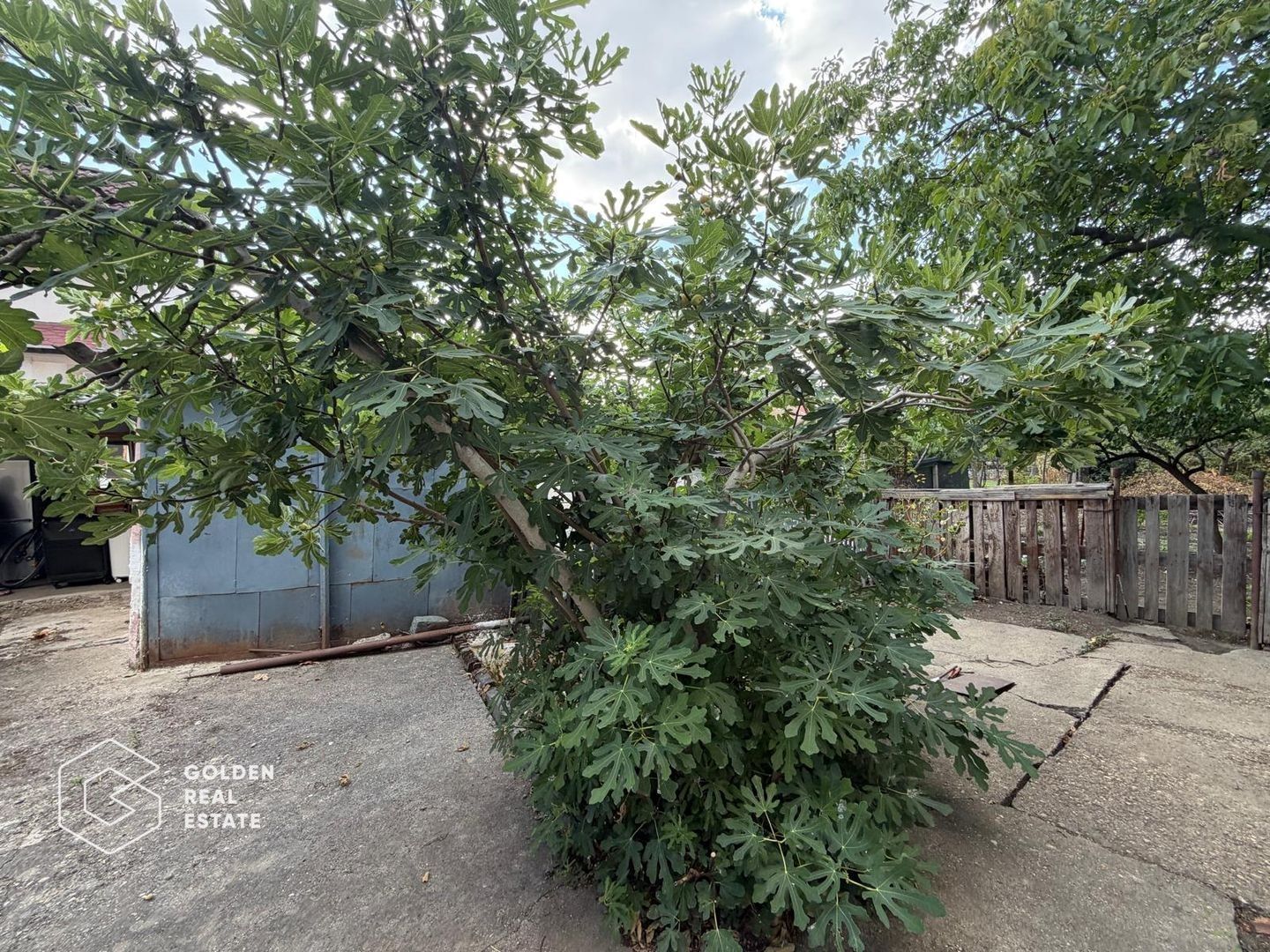 Casa cu doua corpuri de cladire in Gradiste - Poză 16