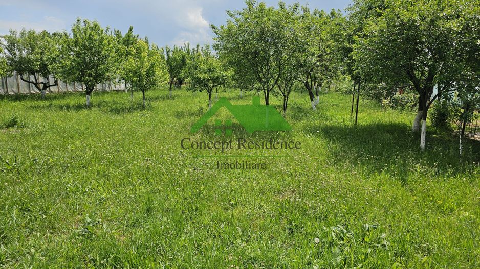 Casă 120 mp + teren 25 ari – Bușag, Tăuții Măgherăuș - Poză 8