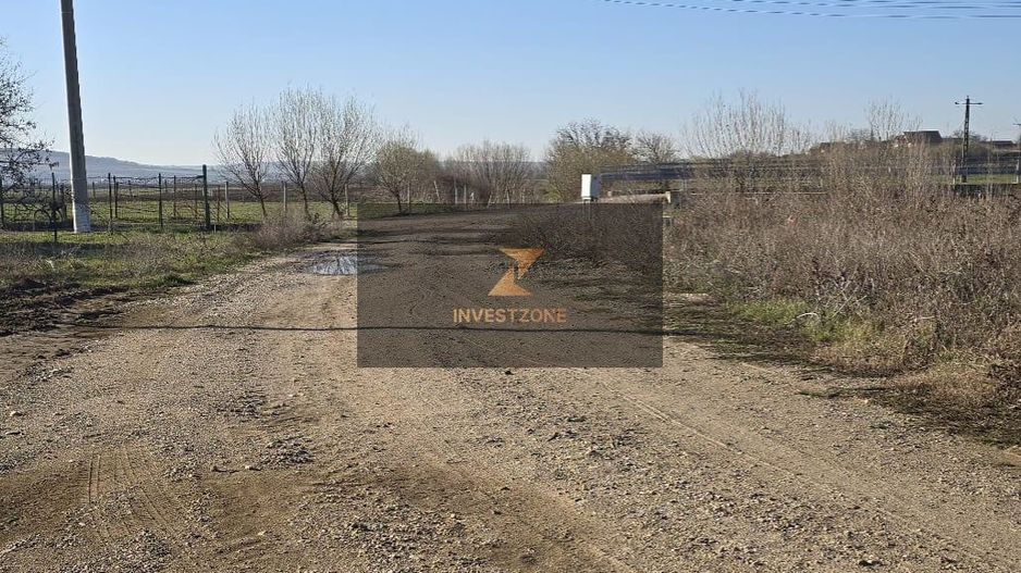 Teren de vanzare,4900 mp in Biharia - Poză 5