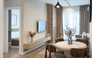 Apartament 2 camere Silk District-500euro - Poză 3