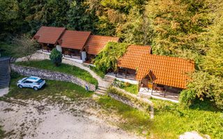 Domeniu în satul Căprioara - Poză 1