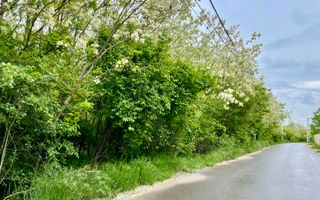 Vila  SMART_individuala _LUX***Padurile Regale//Corbeanca - Poză 13