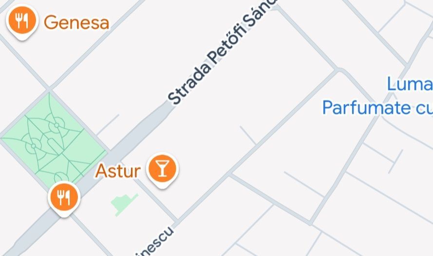 Teren pentru casa individuala Dumbravita/Padure - Poză 3