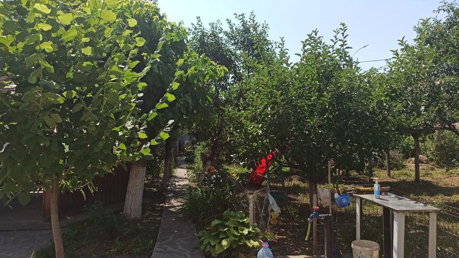 vila indiv+1198mp teren/pe DN4(sosBucuresti) in Frumusani/jud.Calarasi - Poză 58