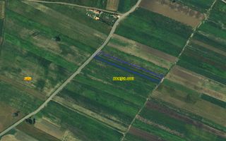 Teren Intravilan 3.400 mp – Jucu de Mijloc - Poză 1