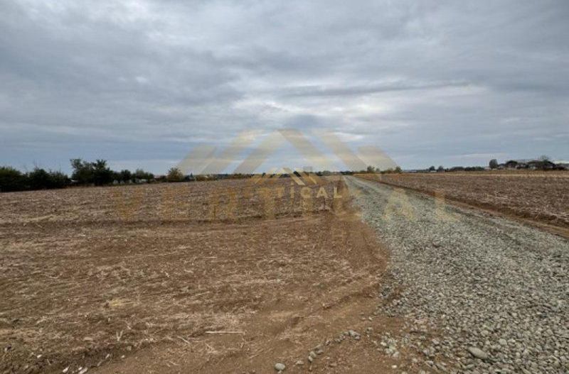 Teren Intravilan 500 mp, comuna Vidra - Poză 2