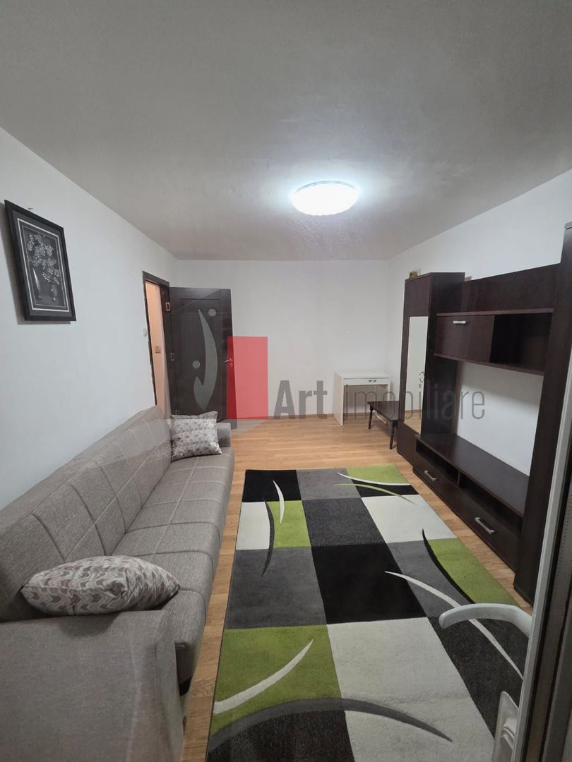 2 camere Drumul Taberei  - Raul Doamnei - Poză 2