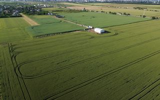 TEREN INTRAVILAN 10.000 MP – PLOIEȘTI VEST - CARTIER MITICĂ APOSTOL - Poză 3