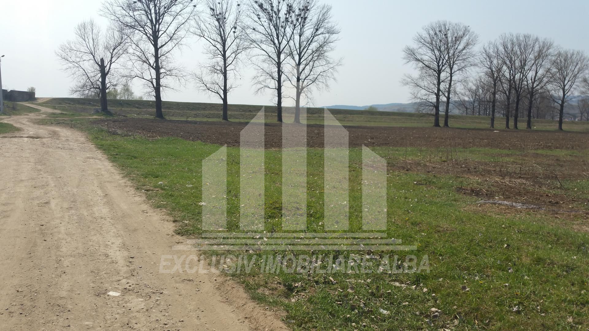 Teren intravilan de vanzare, Partos - Poză 1