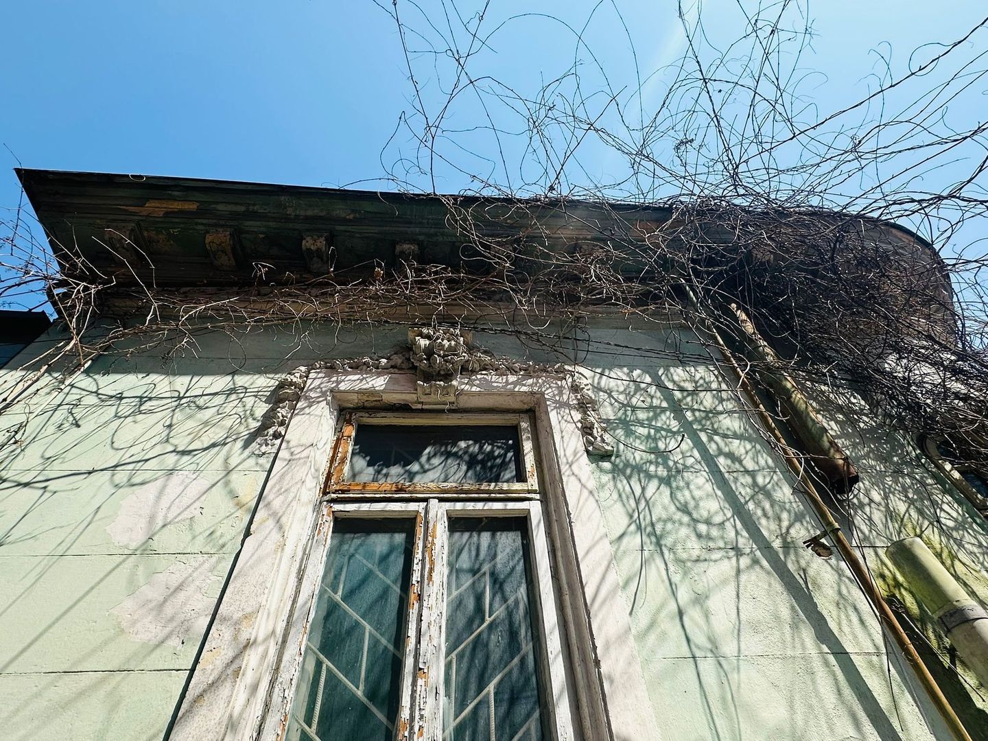 Strada Silvestru | Armeneasca | Casa Individuala 303 mp teren - Poză 6
