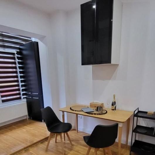 Apartament ultra-modern, doua camere, zona Cismigiu - Poză 6