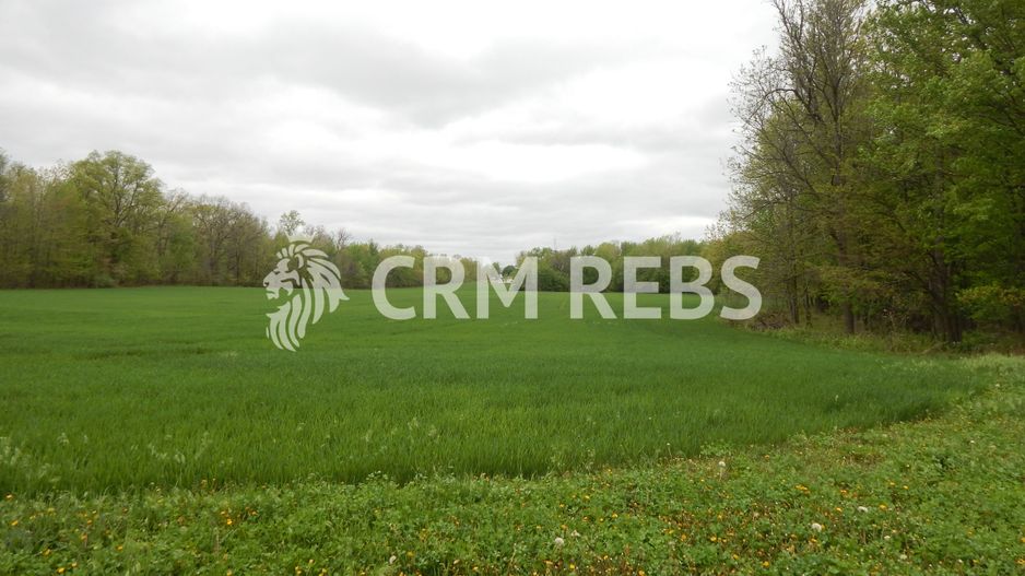 Teren in zona buna de vanzare - Poză 1