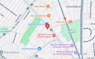 COM 0% I Apartament 2 camere Victoriei - Parcul Kiseleff - 1 Mai - Poză 2