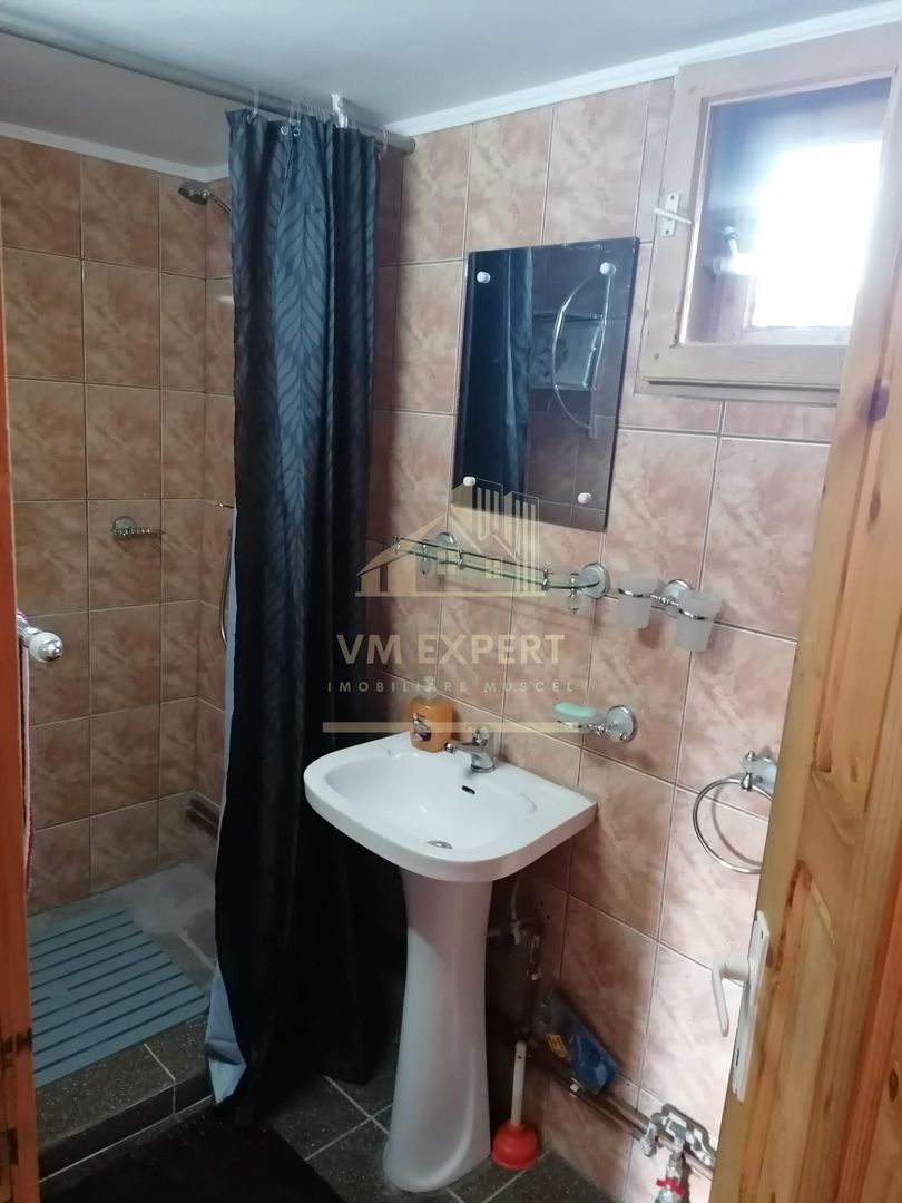 CASA 4 CAMERE, TEREN 290 MP, RUCAR, ARGES - Poză 16