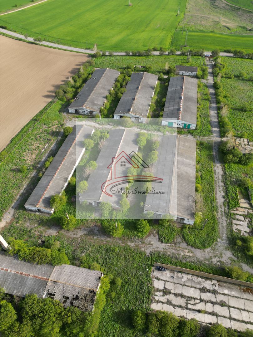 Oportunitate Investiție – Fermă 9,5 Ha cu 10.000 mp Construcții - Poză 6