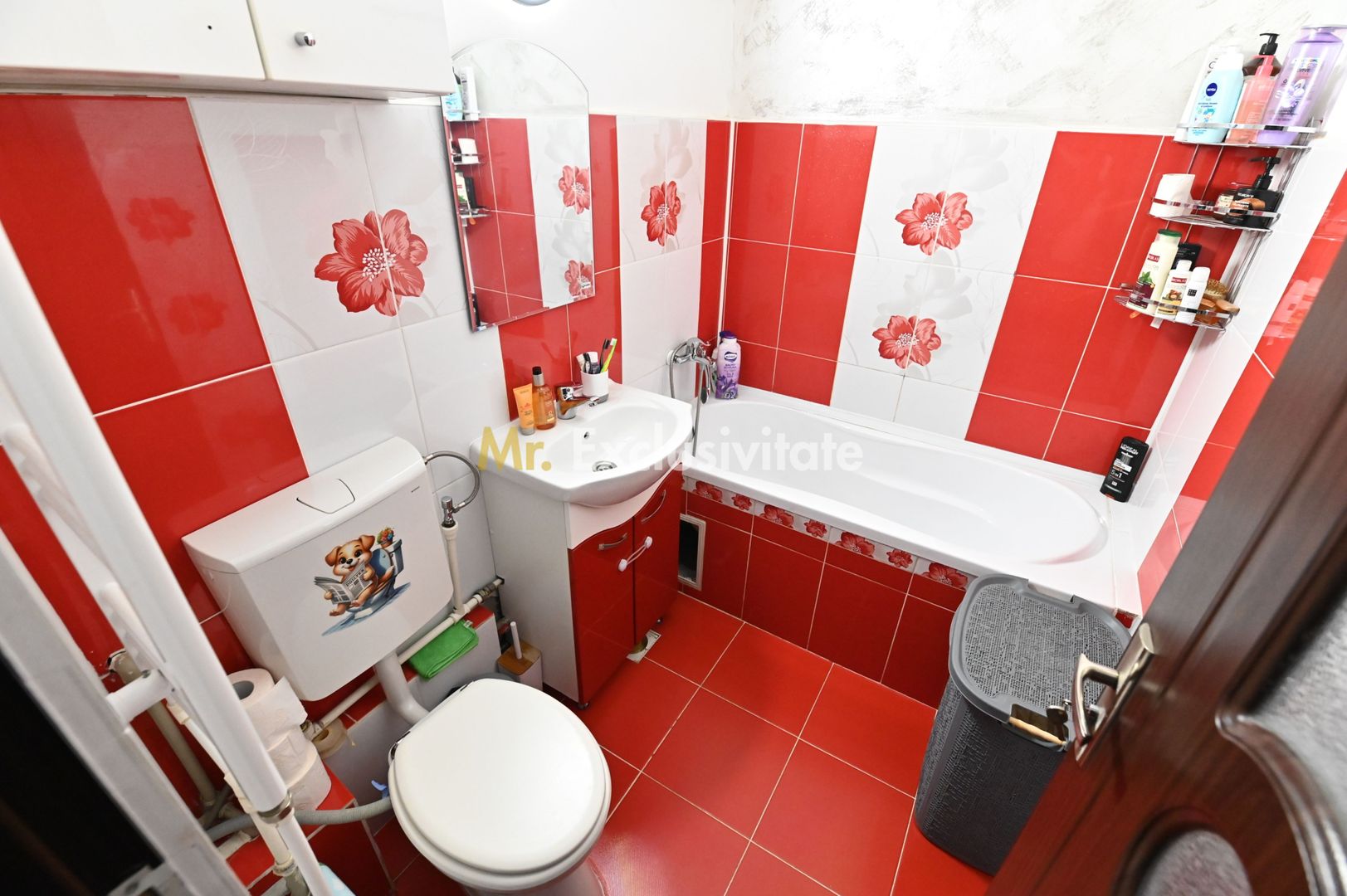 Apartament 2 camere - George Enescu - Poză 10
