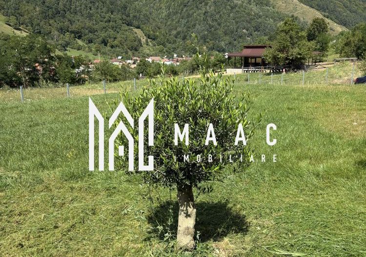 Teren Intravilan | 1053MP | Râu Sadului - Poză 5