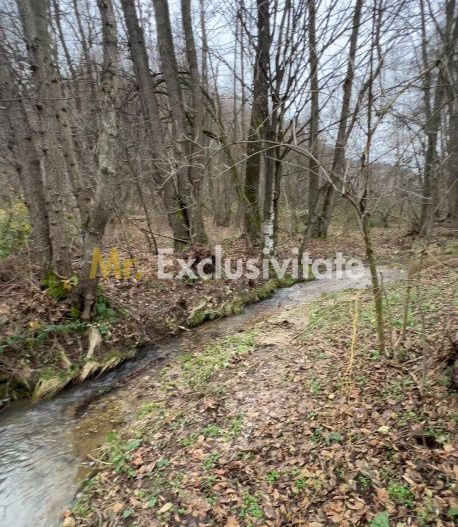 Teren intravilan 6.500 m²–Deschidere 144 ml drum european E81, km 35, Morăresti - Poză 3
